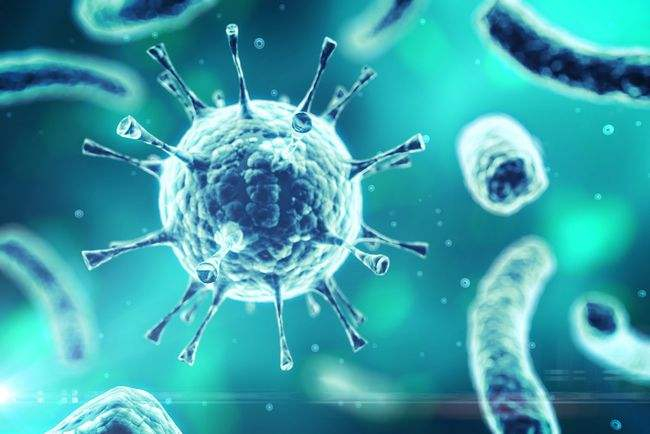 免疫印跡immunoblotting又稱蛋白質(zhì)印跡Western blotting基本原理、步驟、優(yōu)點(diǎn)