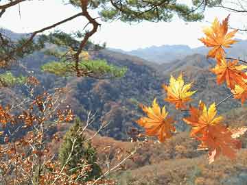 蚌埠房?jī)r(jià)走勢(shì)最新消息